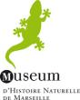 Muséum de Marseille ( 12 novembre 2012 )
